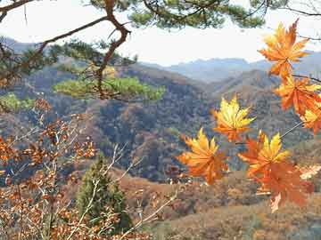 彩鋼板 第8頁