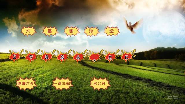 4949澳門今晚彩開獎(jiǎng)結(jié)果｜全面把握解答解釋策略