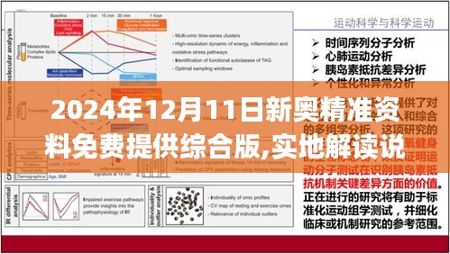 2024新奧精準(zhǔn)資料免費(fèi)｜全面把握解答解釋策略