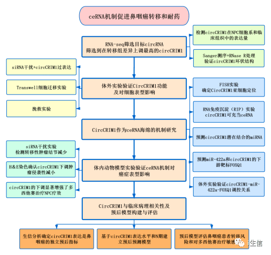 新澳資料正版免費(fèi)資料,結(jié)構(gòu)化推進(jìn)評(píng)估_zShop74.783